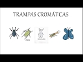 Trampas cromáticas.