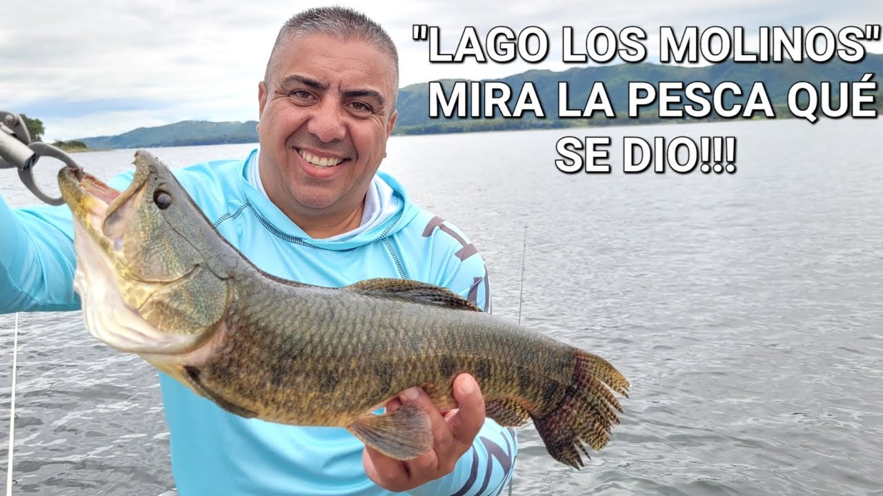 -LAGO LOS MOLINOS- PESCA DE GRANDES TARARIRAS, BAGRES Y CARPAS 