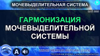 ✨ ОСТАНОВИ проблемы с Мочеиспусканием! 💦 Выведи Токсины 🌿 Саблиминал для Здоровья Мочевой Системы ❤️
