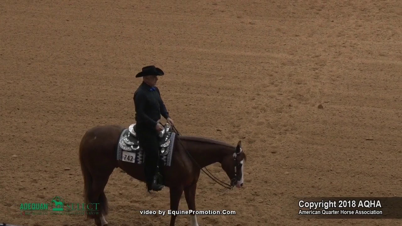 2018 Aqha Select Horsemanship Youtube