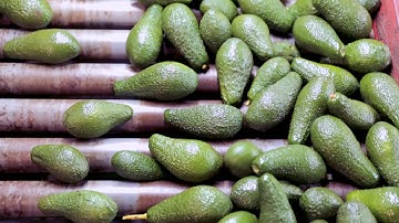 ESHET EILON - REVOLUTIONARY TECHNOLOGIES FOR SORTING FRUITS AND VEGETABLES