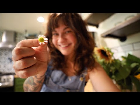 Video: Chamomile Preservation: A Guide To Chamomile Drying Techniques