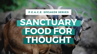 Watch Food For Thought Sanctuary video