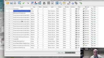 names and labels SPSS.mp4