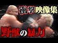 〇す気か!?野獣の暴力 衝撃映像集。殺気立つ野獣は制御不能、GHCヘビー清宮海斗vs藤田和之は10.30有明ABEMA無料生中継！野獣 藤田の生態にまつきりなが迫る！｜プロレスリング・ノア