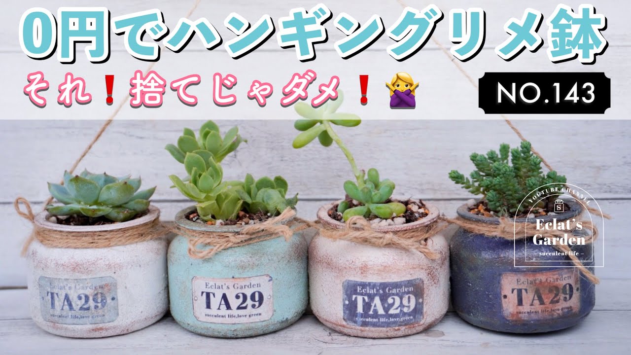 NO.123【多肉植物】【0円リメ鉢】この夏は鉢を作りましょう 