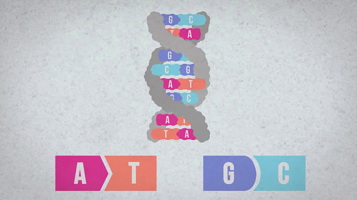 Bản đồ gen người được lập như thế nào