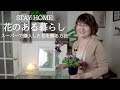 花のある暮らし　初心者さんのためのスーパーマーケットで購入したお花を飾る方法