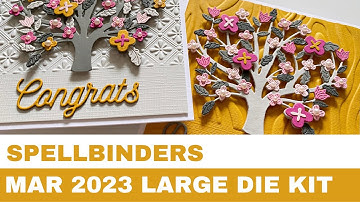 #185 Spellbinders March 2023 Large Die Kit & 3D Embossing Folder Kit - Card Inspirations
