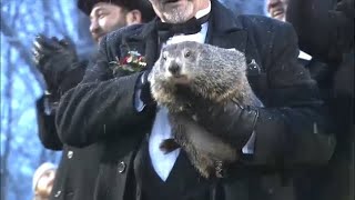 Groundhog Day 2020: Punxsutawney Phil predicts early spring
