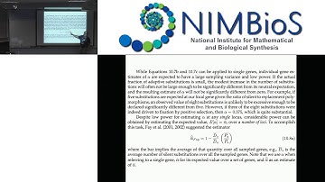 Divergence-based tests: Rate of adaptive substitutions, Poisson random field models