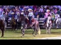 CONCURSO DE CABALLOS BAILADORES -FERIA NUEVO MORELOS 2017-