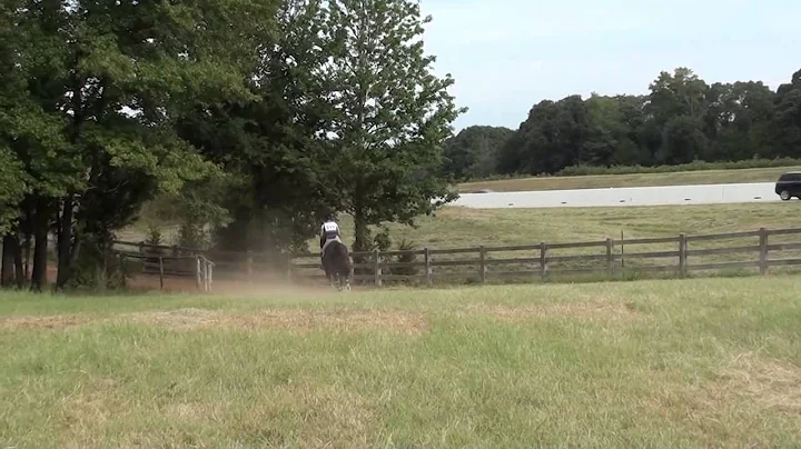 Carla Jimmerson & Carlin LeBeau AEC Novice Championships September 2014