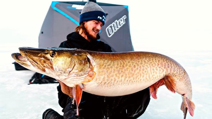 ICE FISHING 50 INCH MUSKY with Frostbite Slugger Rod 