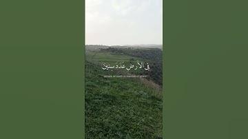 القارئ إسلام صبحي ♥️ | إني جزيتهم اليوم بما صبروا أنهم هم الفائزون 💚❤️