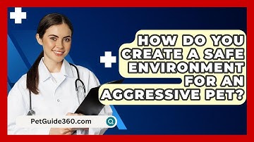 How Do You Create A Safe Environment For An Aggressive Pet? - PetGuide360.com