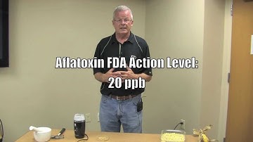 Aspergillus Ear Rot - Screening for Aflatoxin