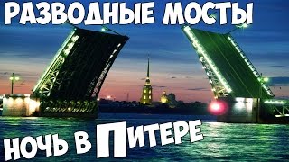 Ночь в Питере, лошади и окашки! И Разводные мосты! Ночь в Питере, лошади и окашки! И Разводные мосты!
