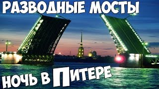 Ночь в Питере, лошади и окашки! И Разводные мосты!