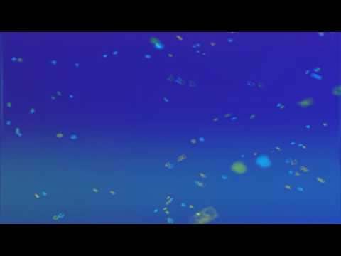 the-banjo---best-ringtones