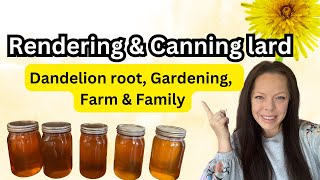 Render & Can Lard | Dandelion Root tea | Gardening in April 2024 | Farm & Family
