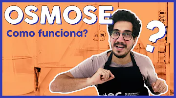 Como ocorre o processo de osmose Brainly?
