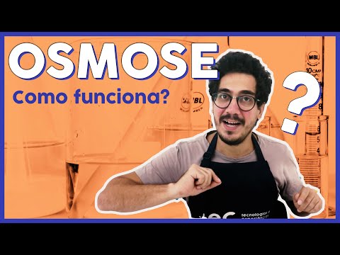 Vídeo: O que é osmose em uma piscina?