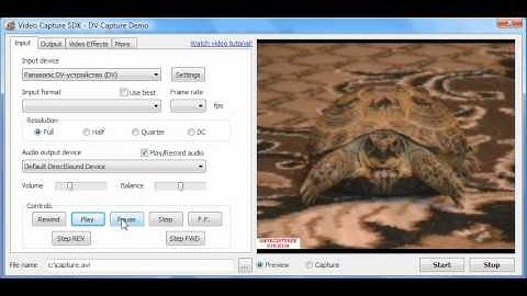 Video Capture SDK - DV Preview Tutorial