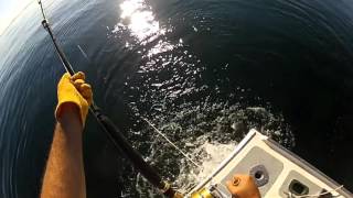 Giant Bluefin Tuna Fishing with Capt. Ralph