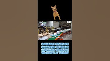 Container loading and unloading conveyor