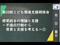 【限定公開】第33回感覚統合の理論と支援～不適応行動から背景と支援を考える～　〇こども発達支援研究会／こはけん〇