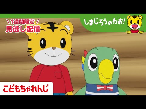 見逃し配信 テレビ番組 しまじろうのわお 11月29日放送 おいしゃさん たのしいよ 701 しまじろうチャンネル公式 