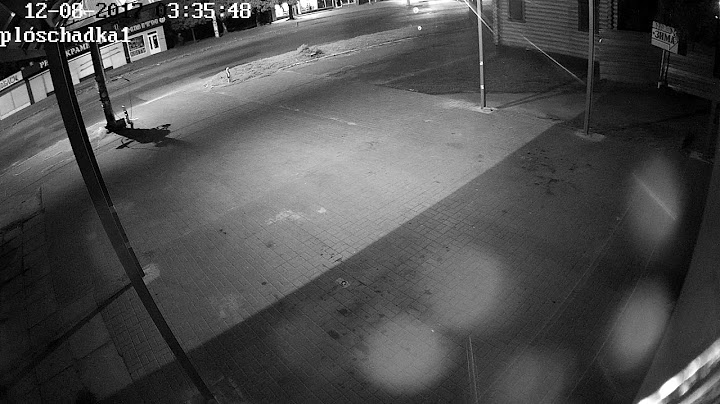 Невідомі зрізали дерева біля площі 700-річчя. Відео з камер, ч.2