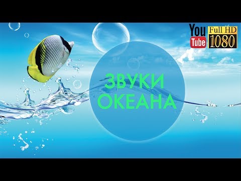 Смотреть клип 15 мин 🎵Дельта Волны 🎵 Лучшая Лаунж Музыка для Релакса 🎵Спокойная Эмбиент Мелодия на Каждый День онлайн бесплатно в качестве Смотреть клип 15 мин 🎵Дельта Волны 🎵 Лучшая Лаунж Музыка для Релакса 🎵Спокойная Эмбиент Мелодия на Каждый День онлайн бесплатно в качестве