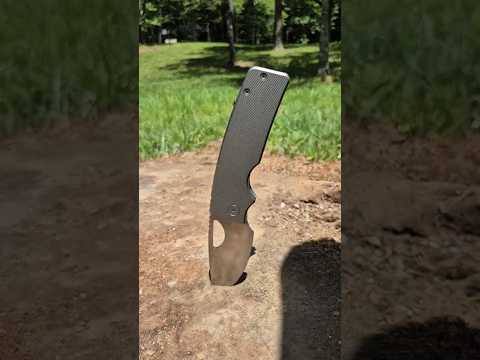 Rosie XL Stump Test Vogel State Park Knife Throwing  iykyk torture test