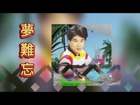 李進才 Li Jin Cai 媽媽請你要保重＋為什麼忘不了＋小貝殼之戀＋夢難忘＋夢醒不了情＋忘也忘不了＋可愛的人生