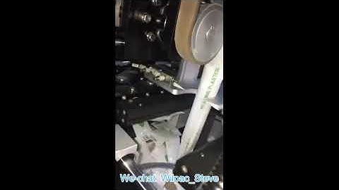 ED4230 vertical packing machine pillow bag trial testing video 2 from Wilpac