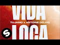 Tujamo x antoine delvig  vida loca official audio