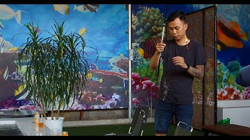 Hồ Câu Tôm Giải Trí - Xít Xít Quán - Số 7, Đào Tấn, K.2, Cửa Nam