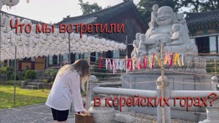 ВЛОГ Корейские горы Поднимаемся с мужем корейцем на гору в Сеуле В корейских горах водятся змеи?