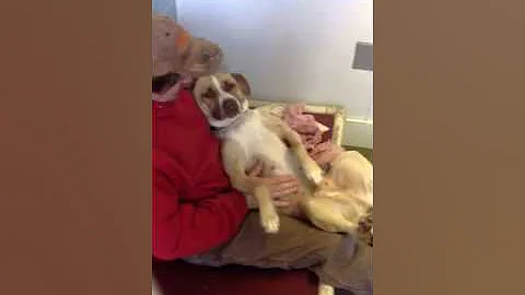 Little River loves her massage!