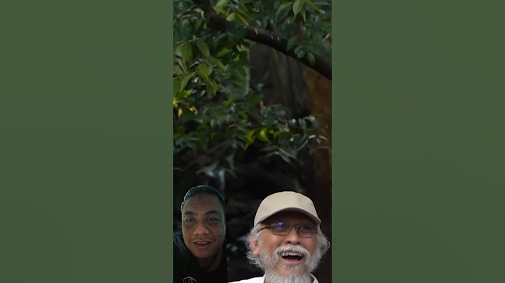 IWAN FALS "Mengharukan" TUHAN Bikin Hutan Manusia Bikin AVIARY #aviaryirfanhakim #iwanfals #burung