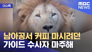 [이슈톡] 남아공서 커피 마시려던 가이드 수사자 마주해 (2021.08.24/뉴스투데이/MBC)