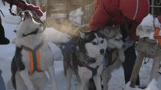 Документальный фильм "ЛАСКА"