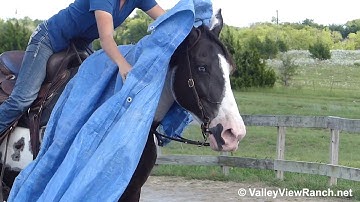 Joanna - flag and tarp! - ValleyViewRanch.net
