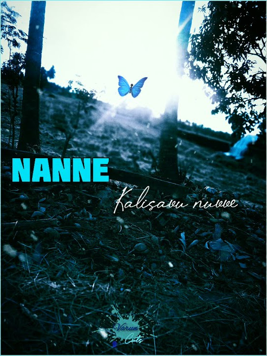 Mari Mari Lyrical Song MS.Dhoni Whatsapp status 2K Resolution