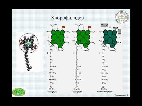 Бейне: Құрылымдық компонент дегеніміз не?