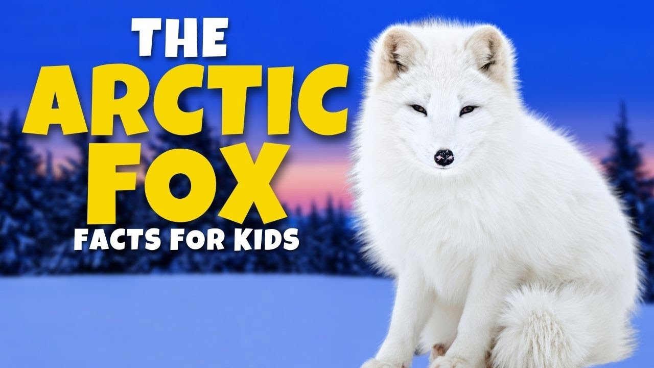 The Mysterious Arctic Fox 🦊 - Fun Educational Facts for Kids 