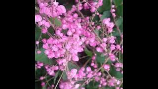 拉黑删除。La Hei Shan Chu (Best Chinese Song)