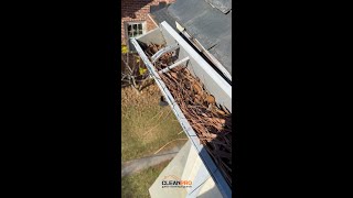 Download Lagu copy_BD7BC4ED-DE1B-4F51-8FF0-DB9B76F809D5.mov MP3